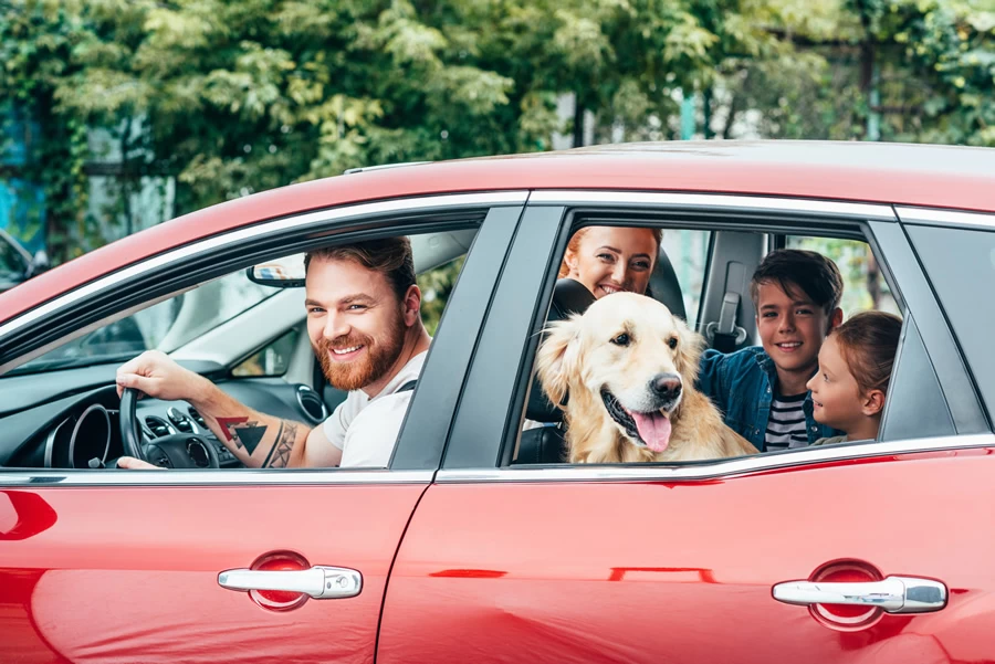 ONLINE PRODAVNICA AUTO DELOVA