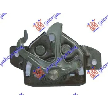 BRAVA HAUBE