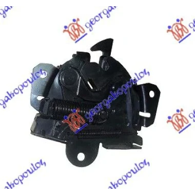 BRAVA HAUBE