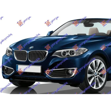 PREDNJI BRANIK PM (PDS) (PRSK)